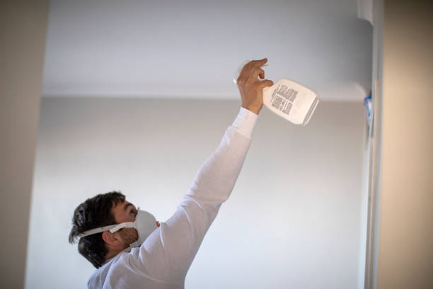 Best Professional Mold Removal  in Harvey, LA