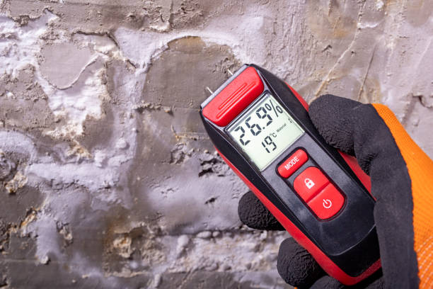 Trusted Harvey, LA Mold Removal Experts