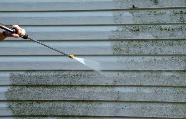 Best Commercial Mold Removal  in Harvey, LA