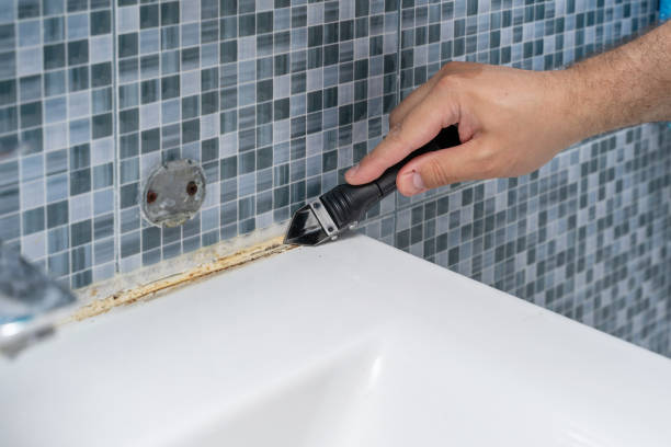 Best Fast Mold Removal  in Harvey, LA