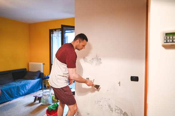 Best Water Damage Restoration  in Harvey, LA